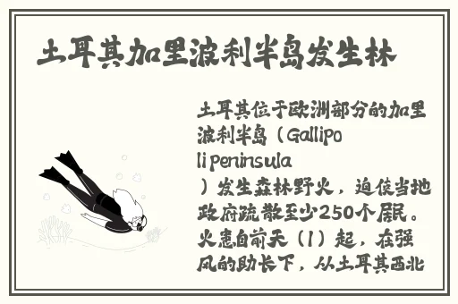 男生越到最后越来越快
